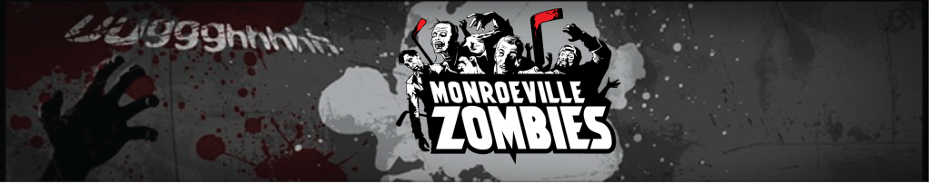 Zombies Banner